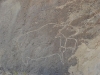 81. Gobustan. Petroglify 11.JPG